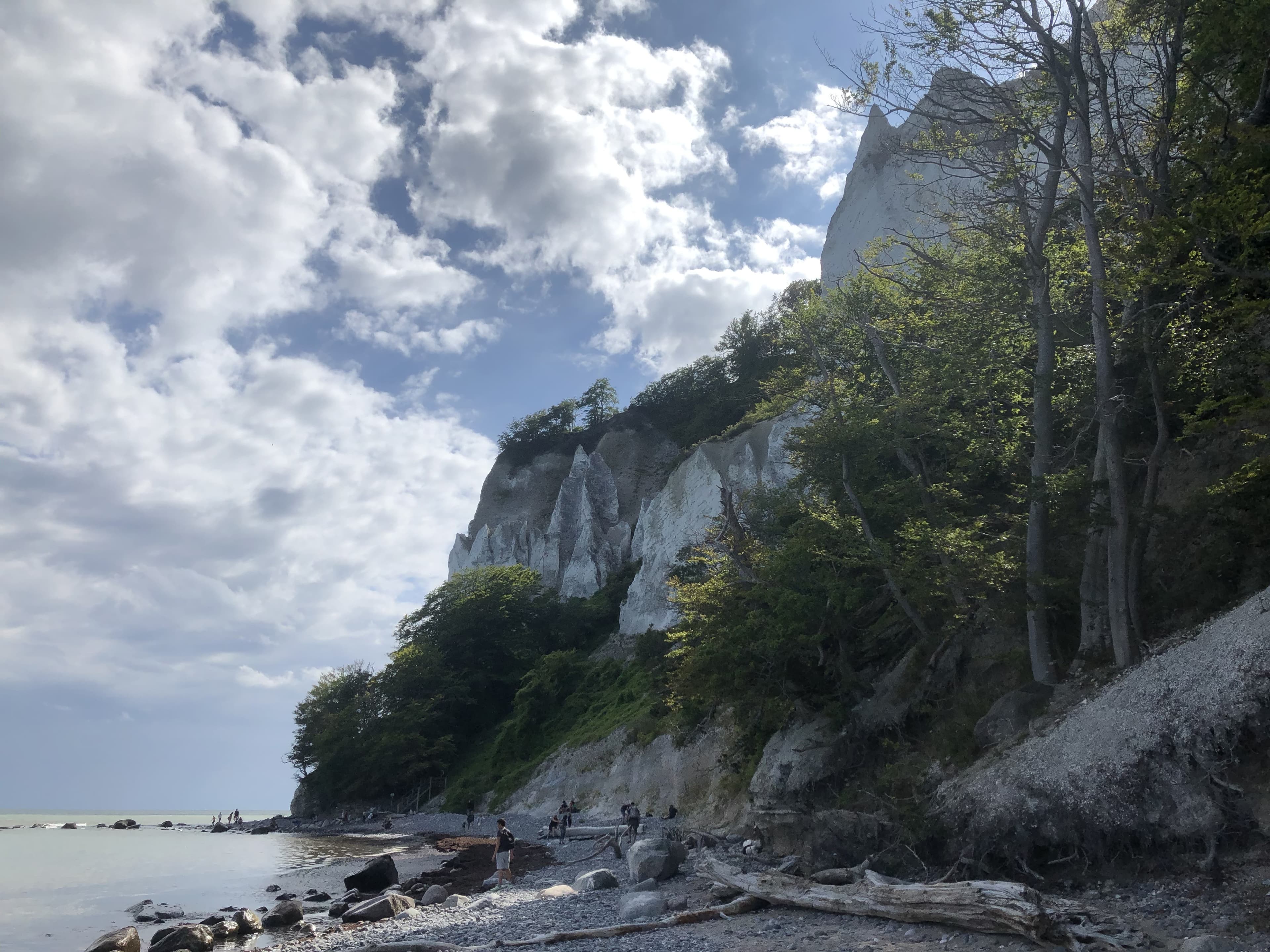White chalk cliffs and beech forest above a stony beach, under a cloudy blue sky